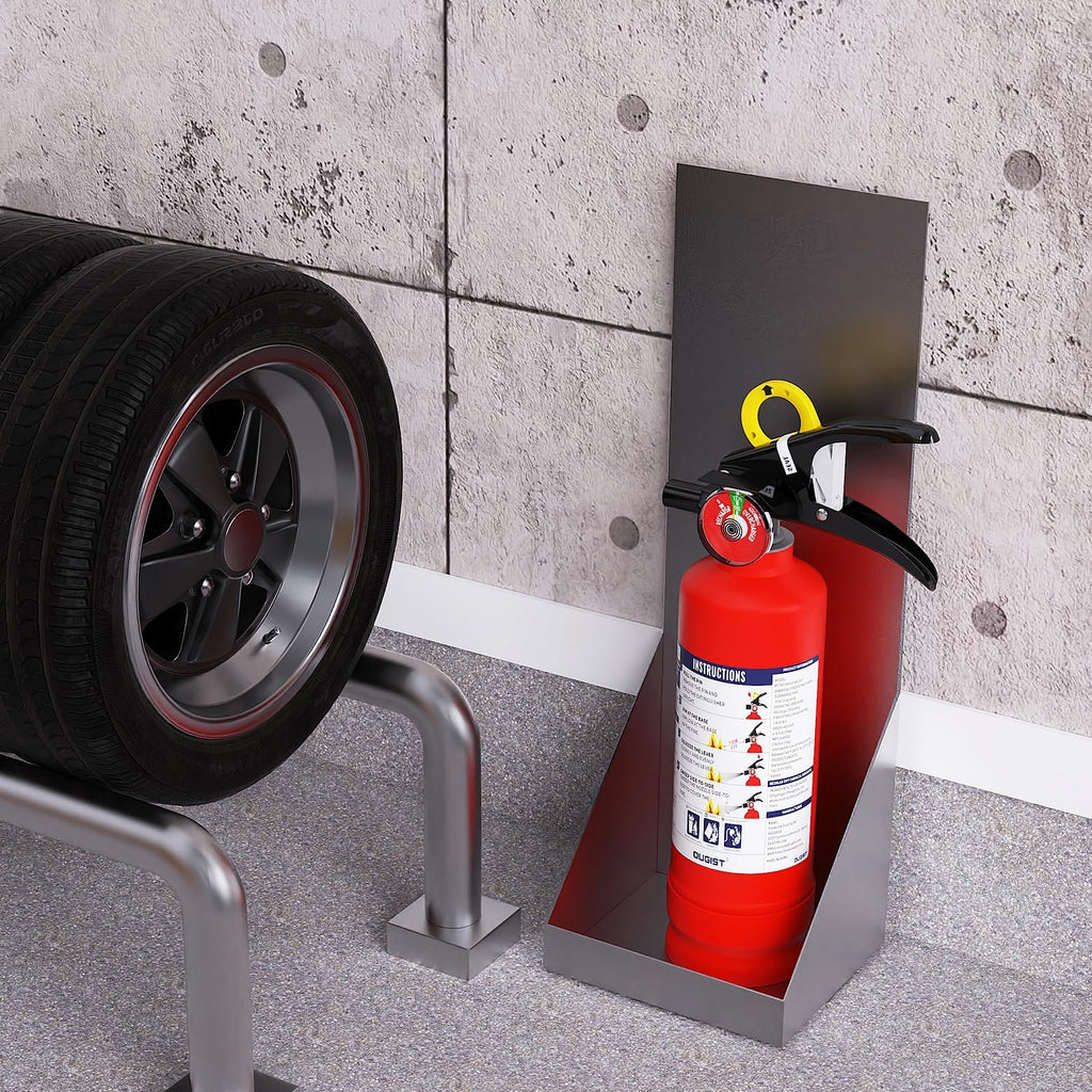 2.5 lb Dry Chemical Fire Extinguisher W168