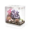 15 Acrylic Aquarium with White LED Lights D3165